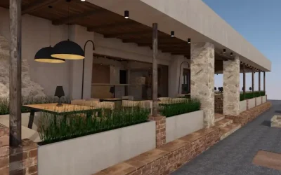Palmera 1