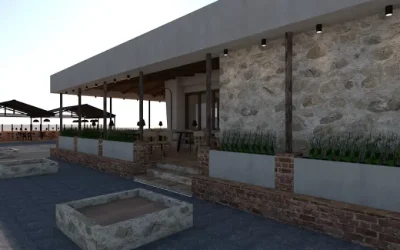 Palmera 3
